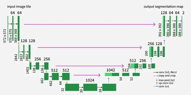 Histopathological Image Analysis screenshot 1